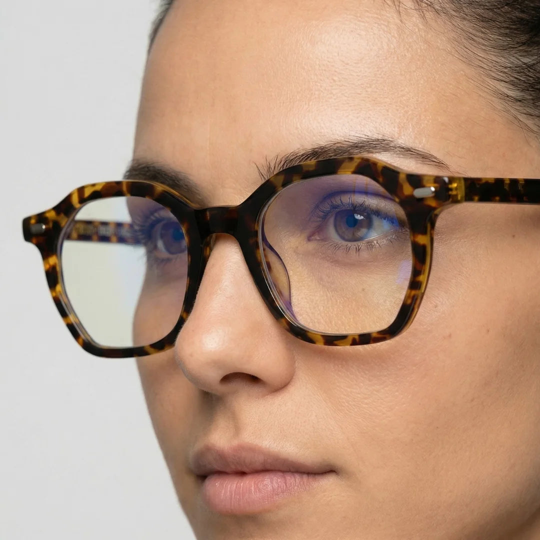 TOULON TORTOISE / CLAIR